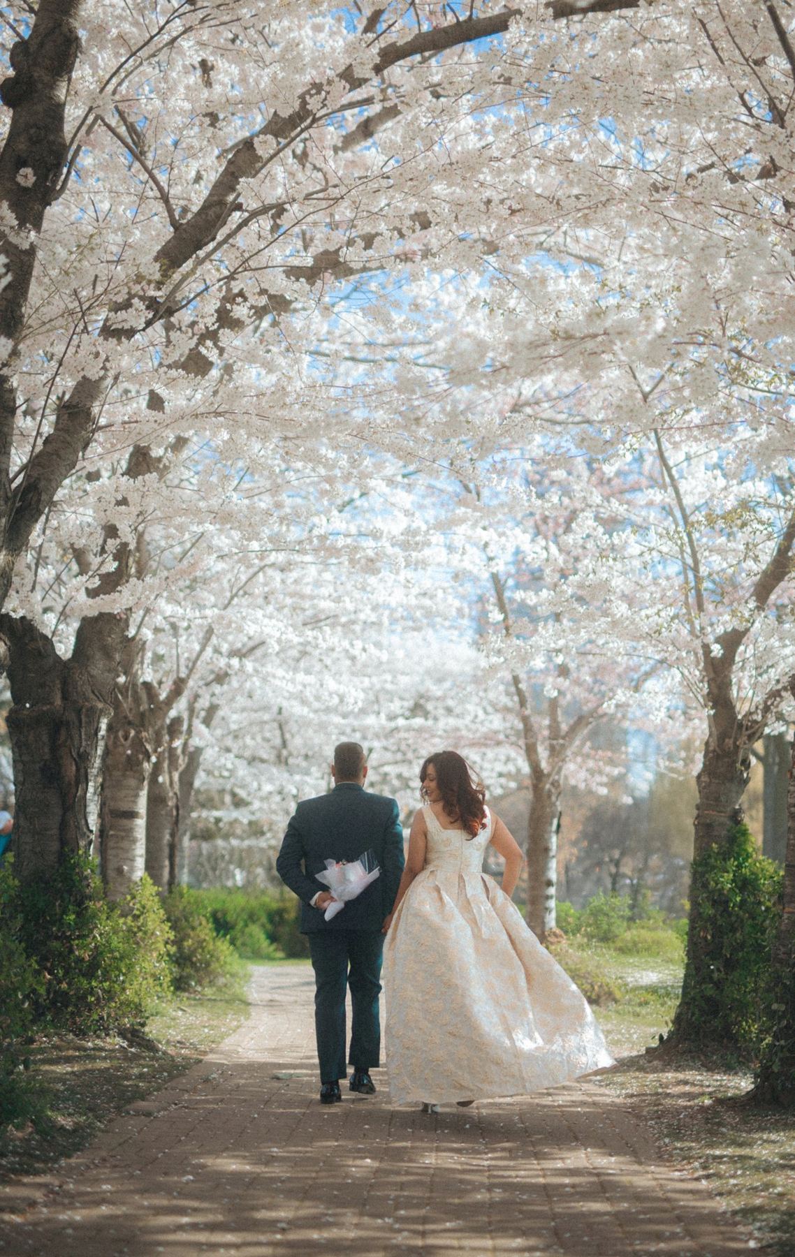 U and S walking beneath cherry blossoms, e-shoot styling by Bhoomi Jani Weddings